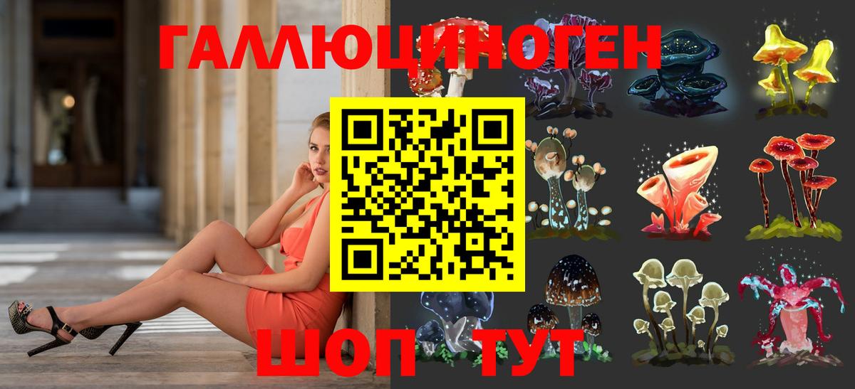 Кимры  где купить наркотик  Вход с VPN  Галлюциногенные грибы Psilocybe 